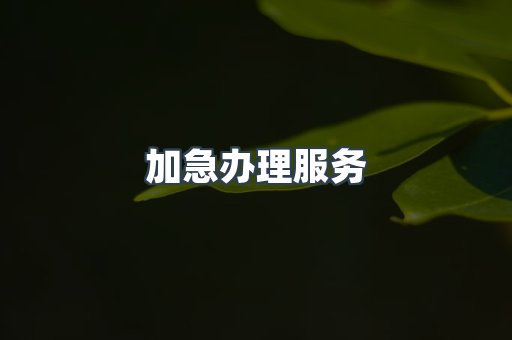 加急办理服务
